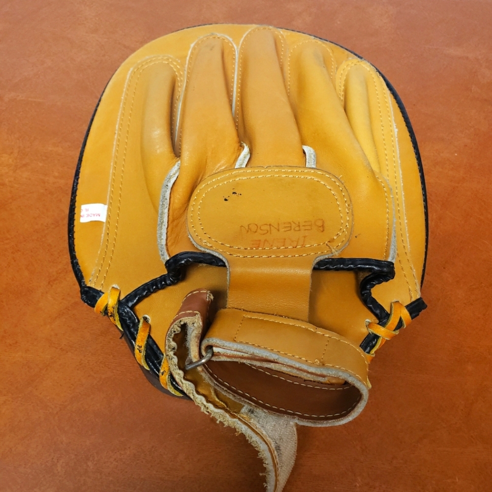 CENTURY Punching Mitt